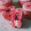 фотография Concept Cakes