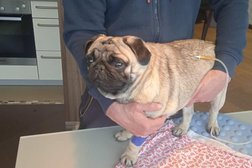 Ветеринарный центр Шерхан, с рейтингом 5 - находится по адресу Республика Татарстан (Татарстан), Казань, Ново-Савиновский район, Меридианная улица, 15 