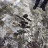 фото от пользователя Sharaf +79653220248 в отзыве о автосервисе Север в СВАО на Стартовой улице