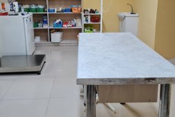 Зооцентр 9 жизней, с рейтингом 3.1 - находится по адресу Тольятти, Молодёжный бульвар, 14 