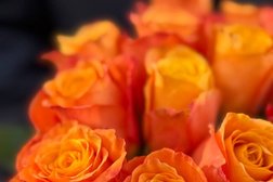 Цветочный магазин Bon_Pion, с рейтингом 5 - находится по адресу Краснодар, улица Академика Трубилина, 142 