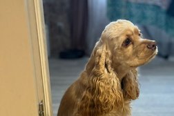 Ветеринарная клиника Medical-Vet, с рейтингом 4 - находится по адресу Владимир, Ново-Ямская улица, 21а 