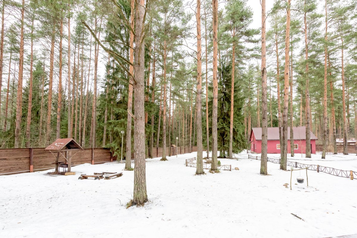 Пансионат всеволожск. Пансионат Лесной Всеволожск. Пансионат Лесной Санкт Петербург. Пансионат во Всеволожске добрыеасердцем. Династия пансионат Всеволожск фото.