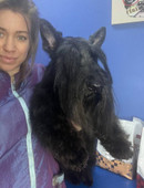 Бродилова Инна