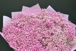 Магазин Флорика, с рейтингом 5 - находится по адресу Москва, Мещанский район, проспект Мира, 88 с1 