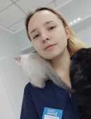 Вылегжанина Анна Алексеевна