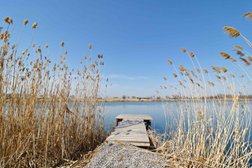 База отдыха KAMISHY Eco Resort, с рейтингом 4 - находится по адресу Алматинская область, с. Елтай, Шабалова, 487 