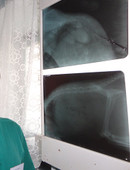 Межевов Леонид Сергеевич