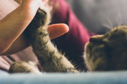 Салон стрижки собак и кошек Groom guru, с рейтингом 3.6 - находится по адресу Московская область, Химки, улица Лавочкина, 13 к2 