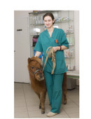 Филиппова Алена Юрьевна