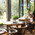 фотография FoodCourt by Вермишель