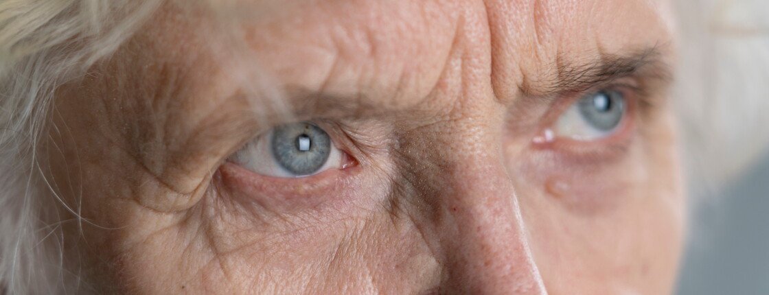 Источник фото: Freepik