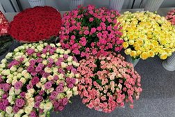 Магазин цветов Флора центр, с рейтингом 4.2 - находится по адресу Московская область, городской округ Мытищи, деревня Грибки, Дмитровское шоссе, 48 