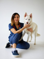 Ветеринарный хирург, ветеринарный онколог Ксения Владимировна Лисовская