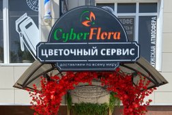 Цветы Краснодар Cyber Flora, с рейтингом 4 - находится по адресу Краснодарский край, ст-ца Елизаветинская, Северная улица, 15 