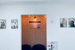 Ветеринарная клиника Shanti, с рейтингом 5 - находится по адресу Омск, Октябрьская улица, 159 