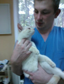 Андронов Олег Валерьевич