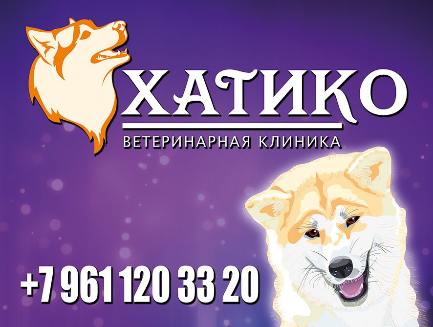 Хатико балаково магазин техники. Ветклиника Хатико Калуга.
