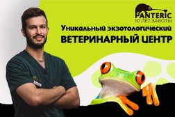 Ветеринарный центр Пантерик, с рейтингом 5 - находится по адресу Москва, район Соколиная Гора, 107023, Малая Семёновская улица, 28 с4 