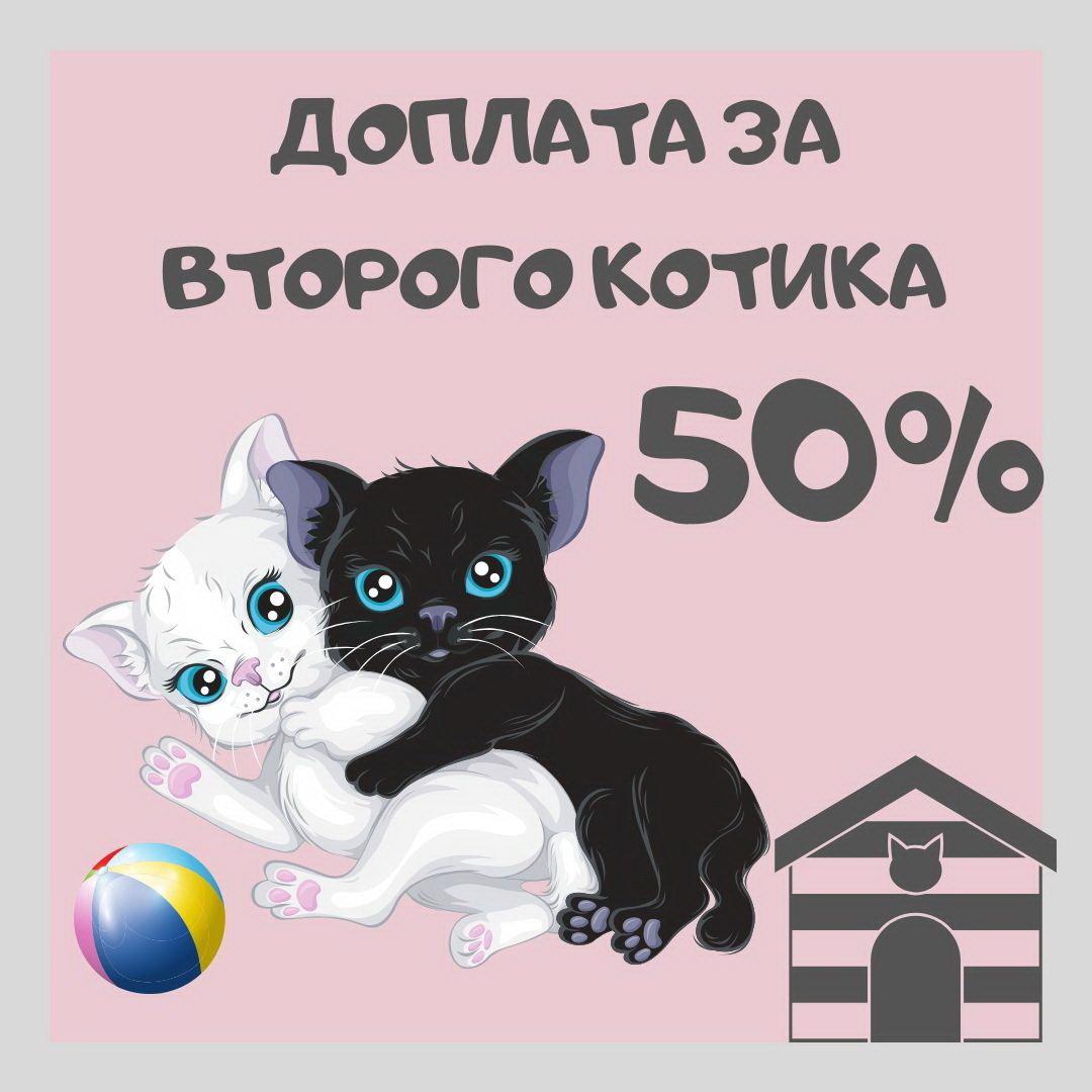 2 Кота Магазин