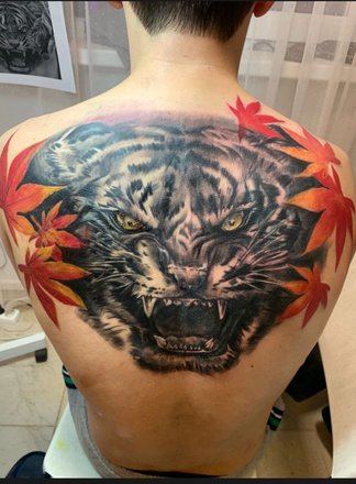 Тату расходники - Одноразовые или многоразовые? - Tattoo Mall