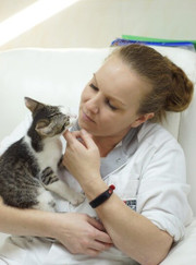 Ветеринарный хирург Любовь Владимировна Крохалева