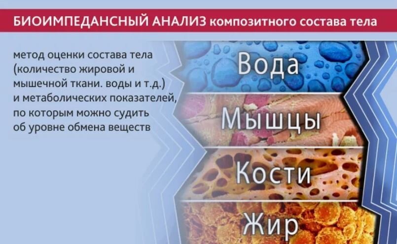 Состав тела показатели. Анализ состава тела. Биоимпедансный анализ. Состав тела. Биоимпедансный анализ тела