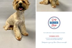 Салон красоты для животных Dog Barber Shop, с рейтингом 4 - находится по адресу Московская область, с. Ильинское, улица Ленина, 11 