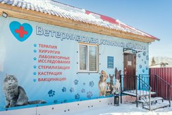 Ветеринарная клиника Лапка, с рейтингом 4.8 - находится по адресу Новосибирская область, рабочий посёлок Коченёво, улица Ворошилова, 1а 