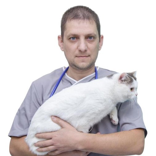 Сергей Николаевич Алимов