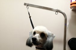 Груминг-салон Pet marafet, с рейтингом 2.6 - находится по адресу Воронеж, улица Куйбышева, 23д 