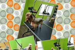 Салон красоты для животных Лапуля, с рейтингом 4.4 - находится по адресу Красноярск, проспект 60 лет образования СССР, 50а 