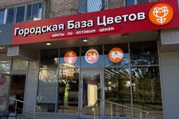 Городская база цветов, с рейтингом 3 - находится по адресу Московская область, Фрязино, проспект Мира, 8 