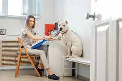 Ветеринарная клиника Надежда, с рейтингом 2.3 - находится по адресу Владивосток, улица Котельникова, 2 