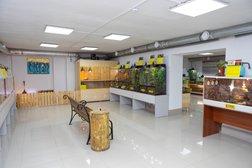 Зоопарк рептилий Другой мир, с рейтингом 4.4 - находится по адресу Владивосток, Ленинский район, 690000, улица Адмирала Фокина, 27 