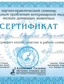 Корсун Алексей Николаевич