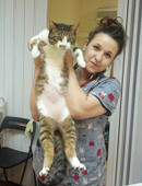 Чечулина Дарья Александровна