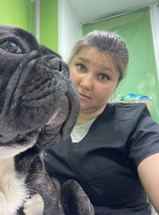 Ветеринарный онколог, ветеринар Дарья Юрьевна Клековкина