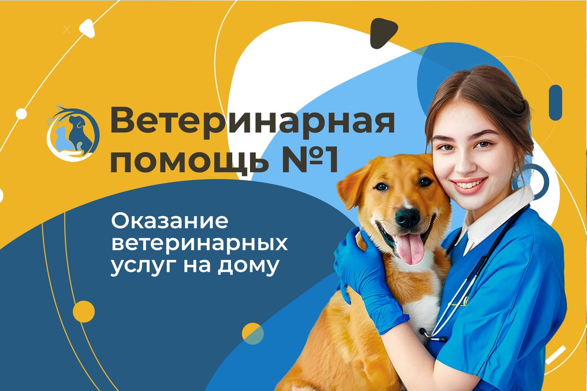 фотография Выездной ветеринарной службы ЗООВЕТ-Дом на Восточной улице в Долгопрудном