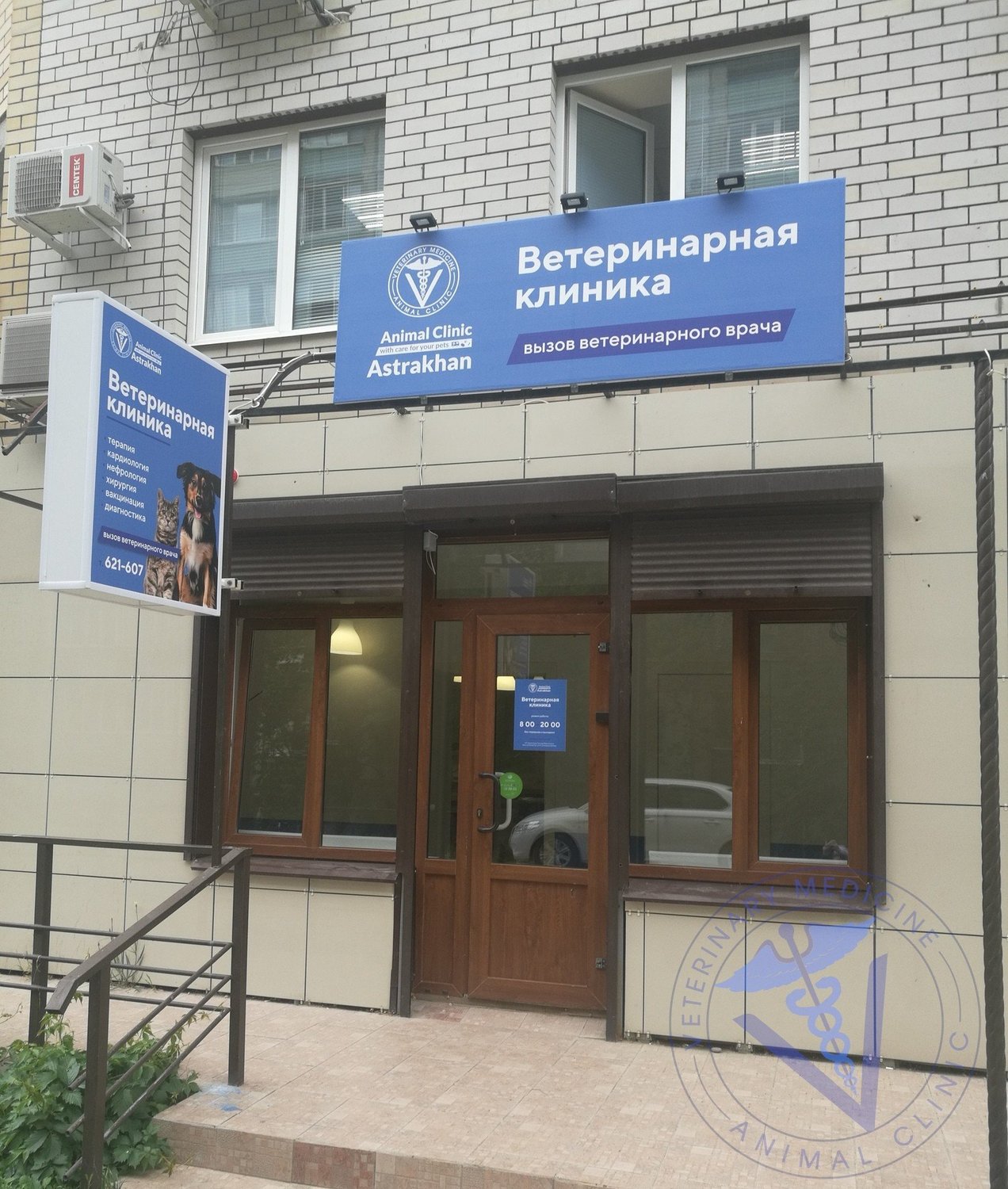 Ветеринарная клиника Animal Clinic - отзывы, фото, цены, телефон и