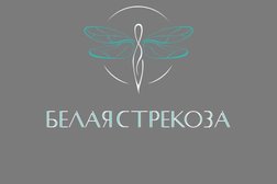 Студия здоровой улыбки Белая Стрекоза, с рейтингом 4.8 - находится по адресу Ярославль, Большая Октябрьская улица, 28 