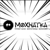 фотография Мохнатка
