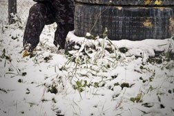 Клуб пейнтбола и лазертага Пиранья, с рейтингом 4.5 - находится по адресу Республика Башкортостан, Белорецк, Курортная улица, 1 