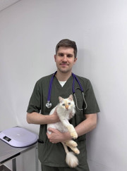 Ветеринарный хирург, ветеринар Александр Михайлович Билан