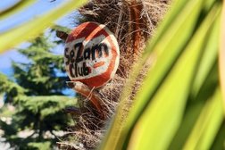 Отель Sezam Club, с рейтингом 3 - находится по адресу Республика Крым, Алушта, улица Глазкрицкого, 8А 