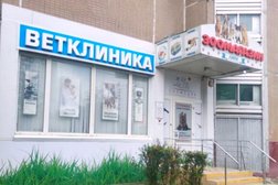 Ветеринарная клиника Зоомедик, с рейтингом 4.9 - находится по адресу Москва, улица Борисовские Пруды, 16к3 