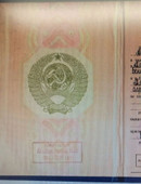 Фельгрон Анна Григорьевна