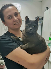 Ветеринарный гастроэнтеролог, ветеринарный анестезиолог-реаниматолог Екатерина Алексеевна Софорова