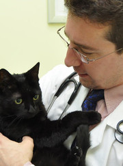 Ветеринар, ветеринарный врач лабораторной диагностики Михаил Евгеньевич Сергеев