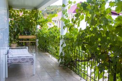 Пансионат для пожилых людей СуперСтар, с рейтингом 4.9 - находится по адресу Краснодарский край, городской округ Сочи, село Орёл-Изумруд, улица Лазурная Долина, 16 